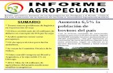 Informe Agropecuario 170314