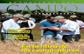 Actualidad del Campo Agropecuario, Octubre 2012
