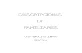 DESCRIPCIONES DE FAMILIARES