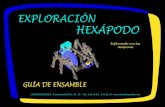 Guia de Ensamble Hexapodo