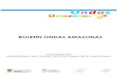 Boletín informativo del programa ONDAS Amazonas