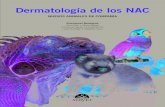 Dermatología de los NAC