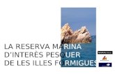 Informe sobre la Reserva Marina de les Illes Formigues