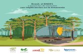 Brasil, BNDES y proyectos de inversión con implicancias en la Amazonía