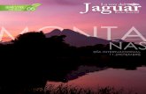 La Voz del Jaguar - Boletín Bimestral 06