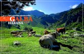 La Vall de Galba (7haizetara)