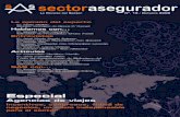 Sector Asegurador Octubre 2008