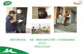 Encuestas de percepcion 2012 - Trujillo