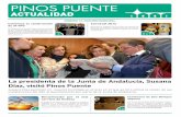 Pinos Puente Actualidad | XIII Edición | Enero-Marzo 2014