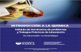 Introducción a la química, módulo de seminarios de problemas y trabajos prácticos de laboratorio