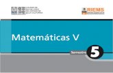 (1) matematicas v