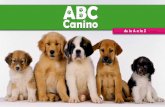 ABC Canino.