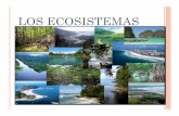 LOS ECOSISTEMAS ABIO, BIOTI, Y DESASTRE NATURALES