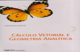 Cálculo Vetorial Geometria analitica - Jose Roberto Julianelli
