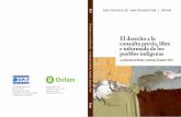 Informe Derecho Consulta 2011