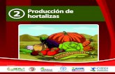 Cartilla Producción de Hortalizas en El Chaco