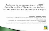 Acciones de conservación en el DMI Cuchilla Jardín - Támesis
