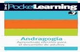 Pocket Learning 3 - Andragogía