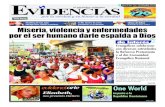 Periodico Evidencias Noviembre 2010