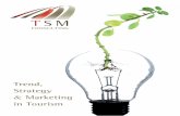 Presentazione TSM Consulting