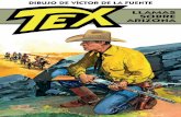 Tex: Llamas sobre Arizona preview