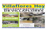 villaflores 310311