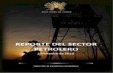 REPORTE SECTOR PETROLERO - PRIMER TRIMESTRE DEL 2013