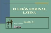 Flexión Nominal latina