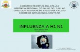 Influenza 29 de Agosto del 2009