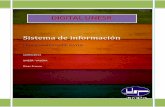 Sistema de información (PROCESAMIENTO DE DATOS)