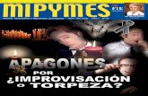 Revista MiPYMES 42 Nov Dic 2009