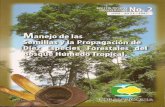 Manejo de las semillas y la propagación de diez especies forestales del Bosque Húmedo Tropical