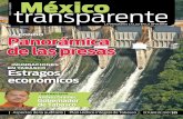 Revista Mexico Transparente