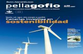 Pellagofio nº30 (1ª) marzo 2007