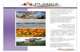 Informativo Institucional Planeantioquia Junio - Julio