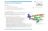 Proteínas apuntes