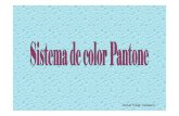 Sistema de color Pantone