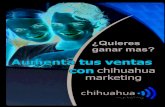 Chihuahua Marketing