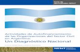 NESsT Diagnostico Nacional Argentina