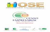 Censo Empresarial -  Palmira 2011- Resumen Ejecutivo