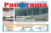 Periódico Panorama Edición No. 50