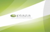 Plaza Consultores - Presentación