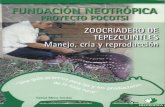 Zoocriadero de Tepezcuintles: Manejo, cría y reproducción. Primera parte.
