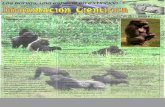 Los Gorilas, una especie en extinción