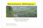 Conozca Chiapas. Marzo-mayo, 2013