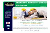 Boletín Informativo Minero 017