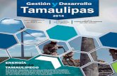 Gestión y Desarrollo Tamaulipas 2014