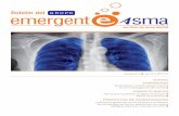 Boletín 2 del GEA (Grupo Emergente Asma)