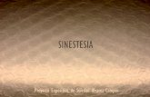 Proyecto expositivo sinestesia