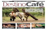 Destino Cafe